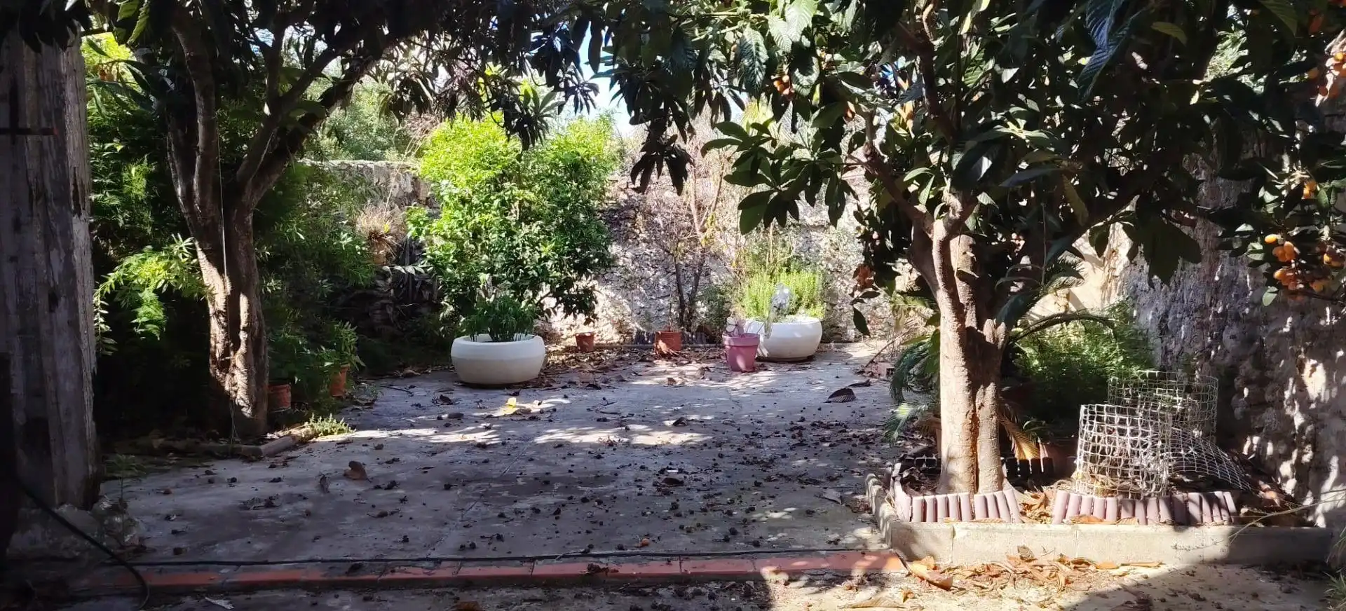 Jardí de Casa o xalet en venda en Càrcer