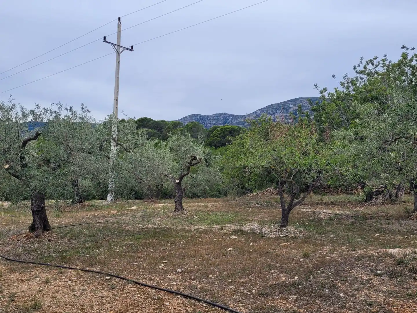Country house for sale in Alcanar, imagen 11