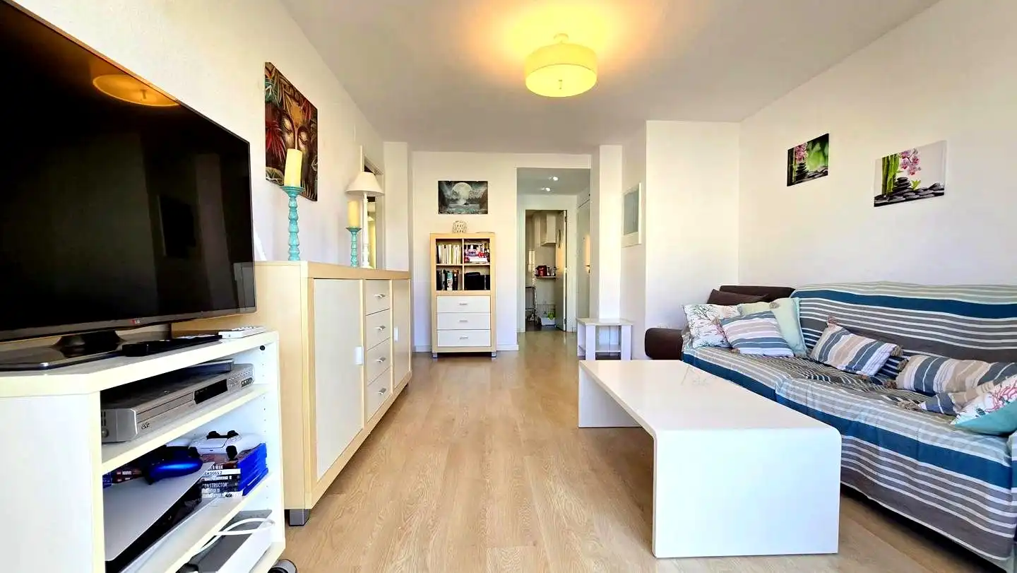 Sala d'estar de Apartament de lloguer en Gandia amb Aire condicionat, Parquet i Terrassa