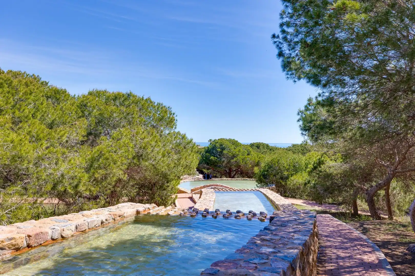 Schwimmbecken von Erdgeschoss zum Verkauf in Torrevieja mit Terrasse, Möbliert und Gemeinschaftspool