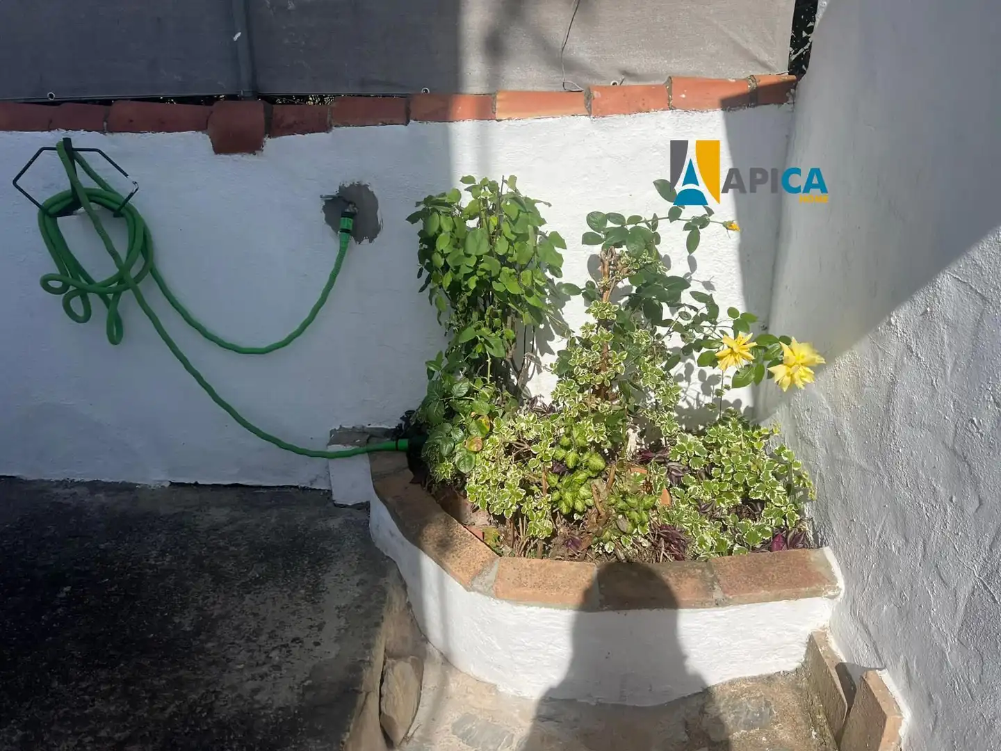 Jardí de Casa o xalet en venda en Vejer de la Frontera amb Aire condicionat, Calefacció i Terrassa
