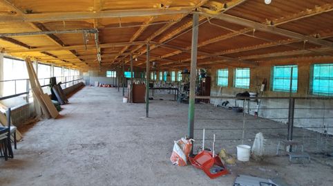 ¡Oportunidad Única! Finca Rústica con Explotación Ganadera Activa en Marçà (Tarragona), imatge 2