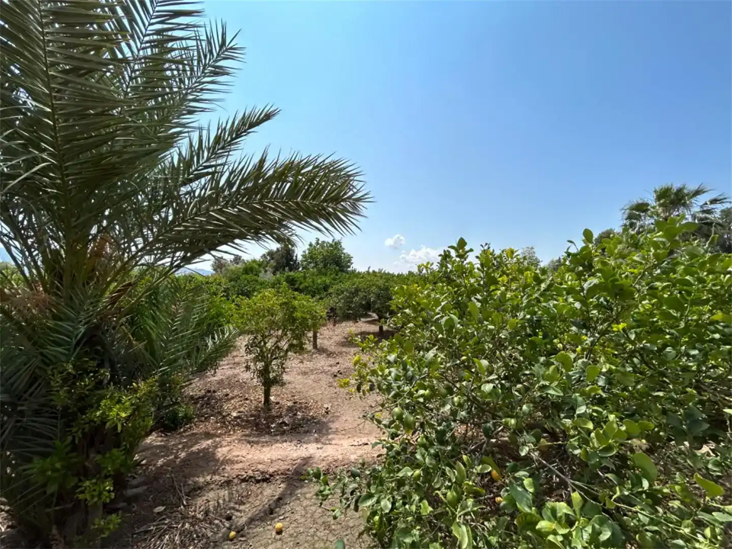 Terreno en venta en Alhama de Murcia ciudad