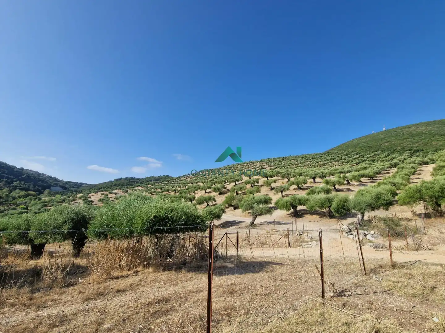 Rural land for sale in San José del Valle, imagen 9