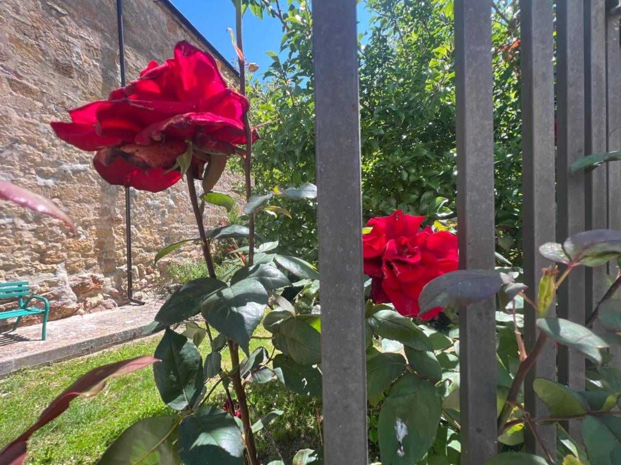 Jardín de Casa o chalet en venta en Tubilla del Agua con Calefacción, Jardín privado y Terraza