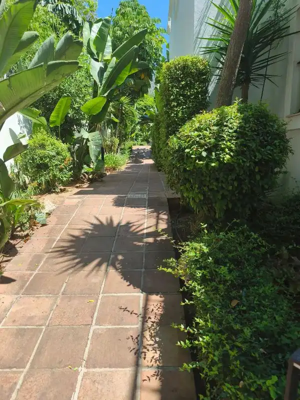 Vista exterior de Planta baixa en venda en Marbella amb Aire condicionat, Calefacció i Jardí privat