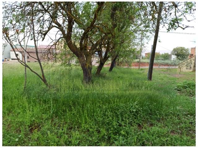 Terreno residencial en Venta en Alesanco