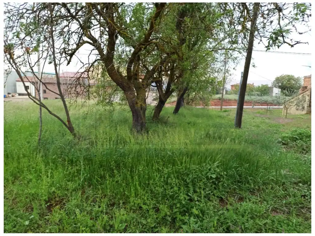 Terreni e lotti in vendita a Alesanco