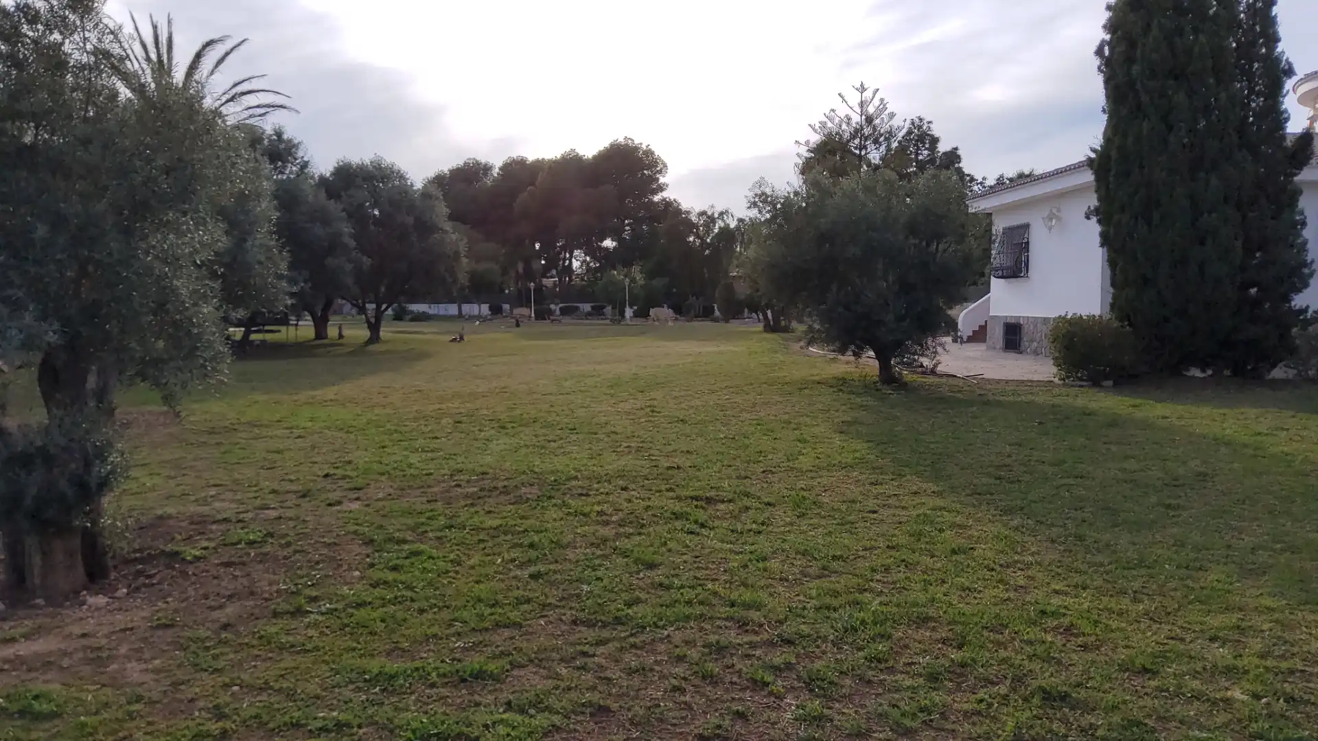 Houses for sale in San Vicente del Raspeig / Sant Vicent del Raspeig  with Air Conditioner, Heating and Private garden