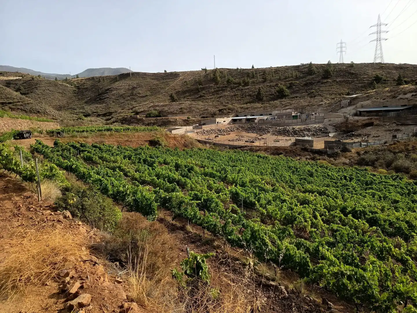 Terreno rustico in vendita a Arico, imagen 10
