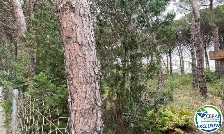Terrenys i solars en venda a Nord, imagen 12