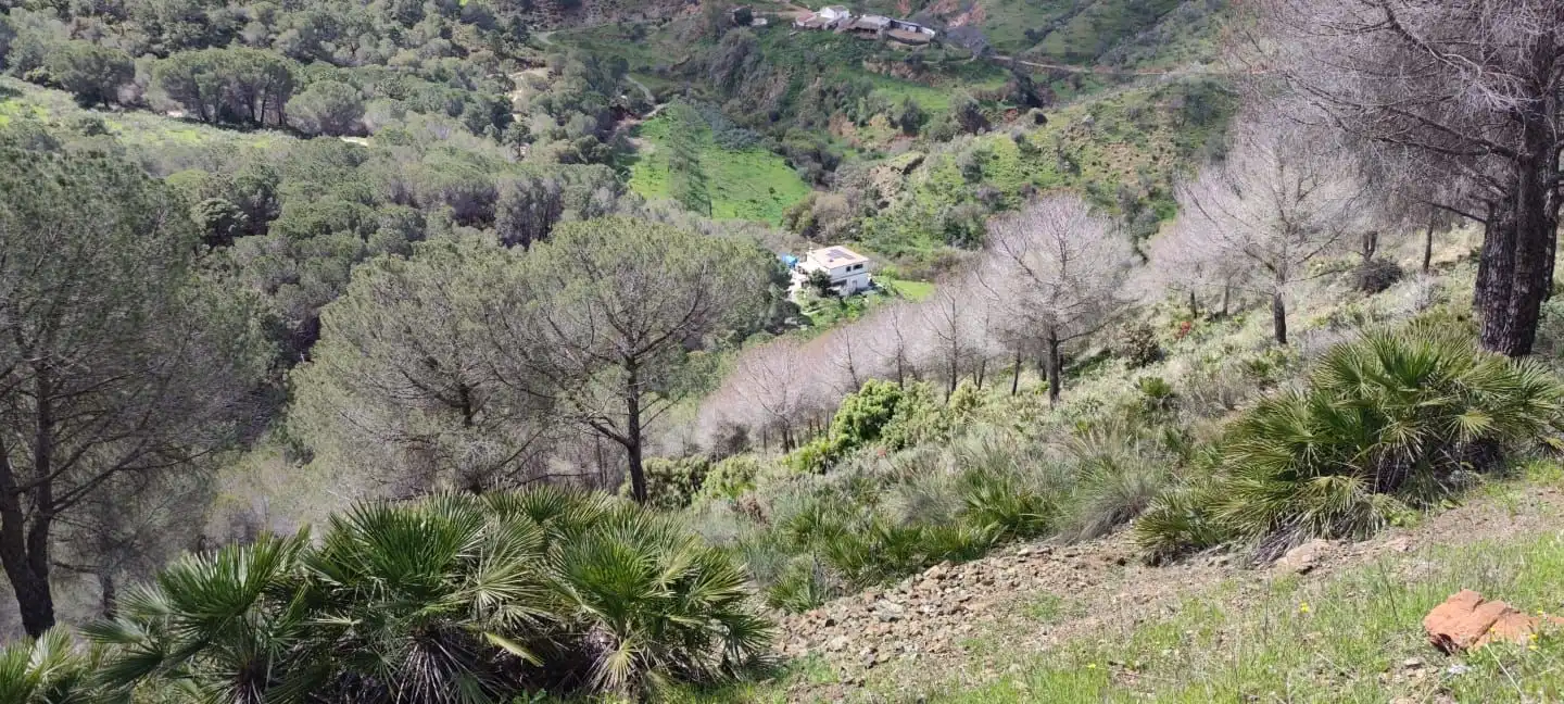 Casa rustica in vendita a Camino Los Guaperos , Paraje Majada Llana,, imagen 22