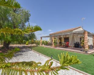 Casa o xalet de lloguer a Camí Vell de Santa Pola, Las Bayas