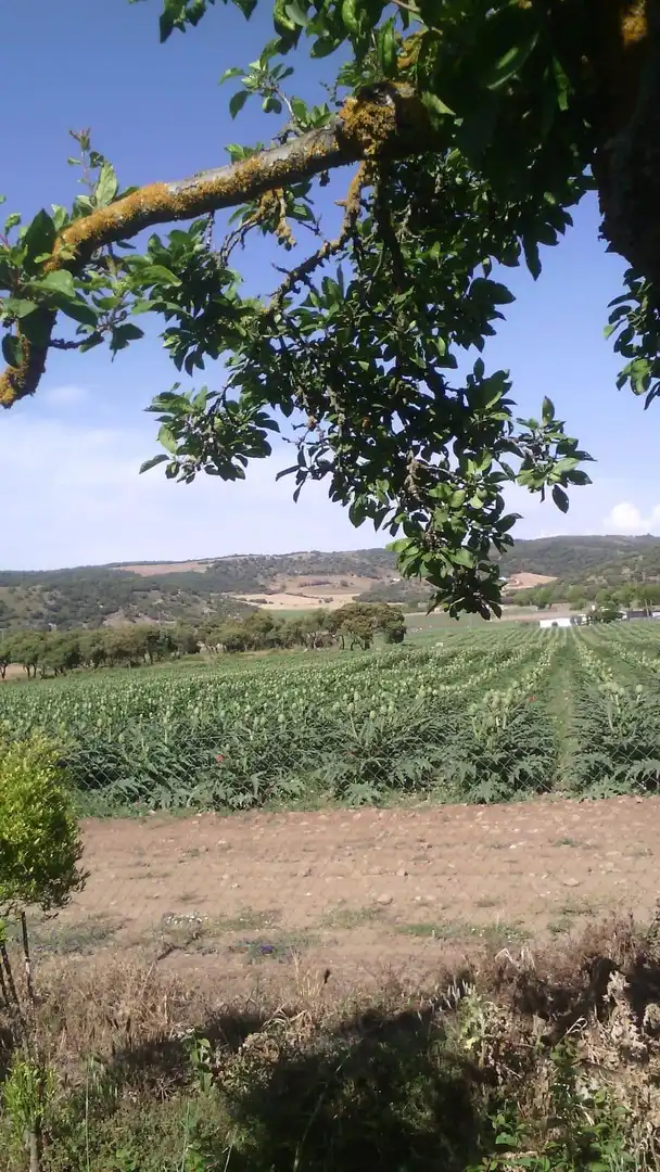 Country homes for sale in Alhama de Granada