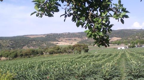 Photo 4 of Country homes for sale in Alhama de Granada, Granada