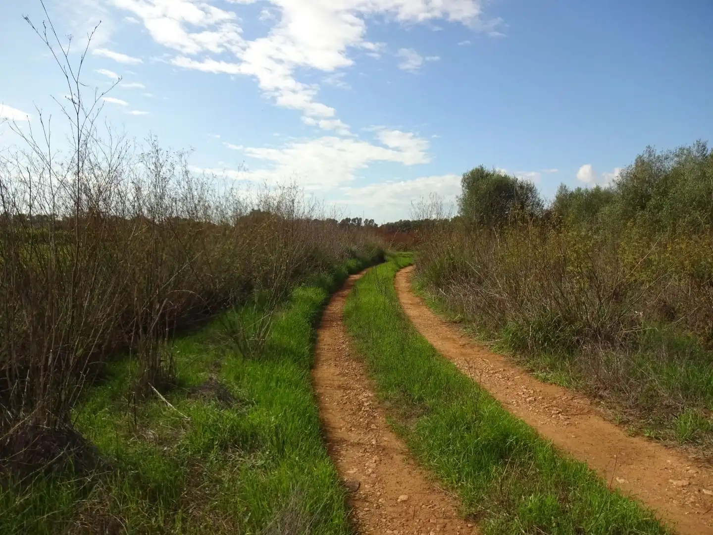 Vista exterior de Finca rústica en venta en  Palma de Mallorca