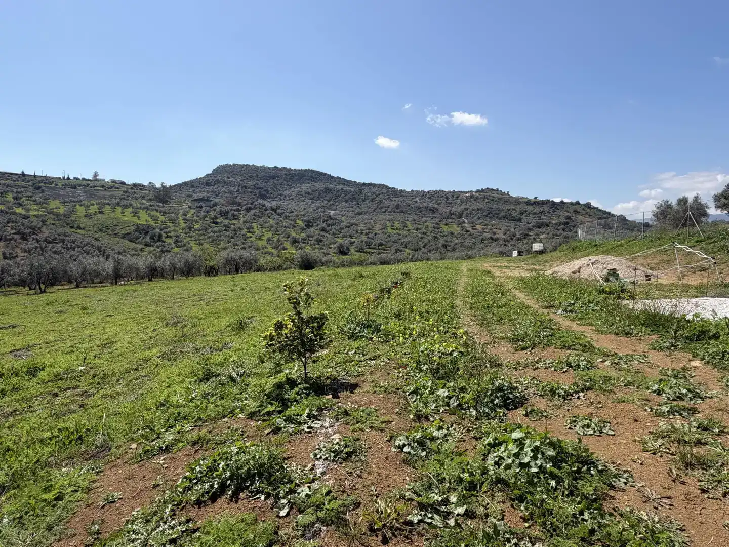 Country house zum Verkauf in Viñuela mit Schwimmbad