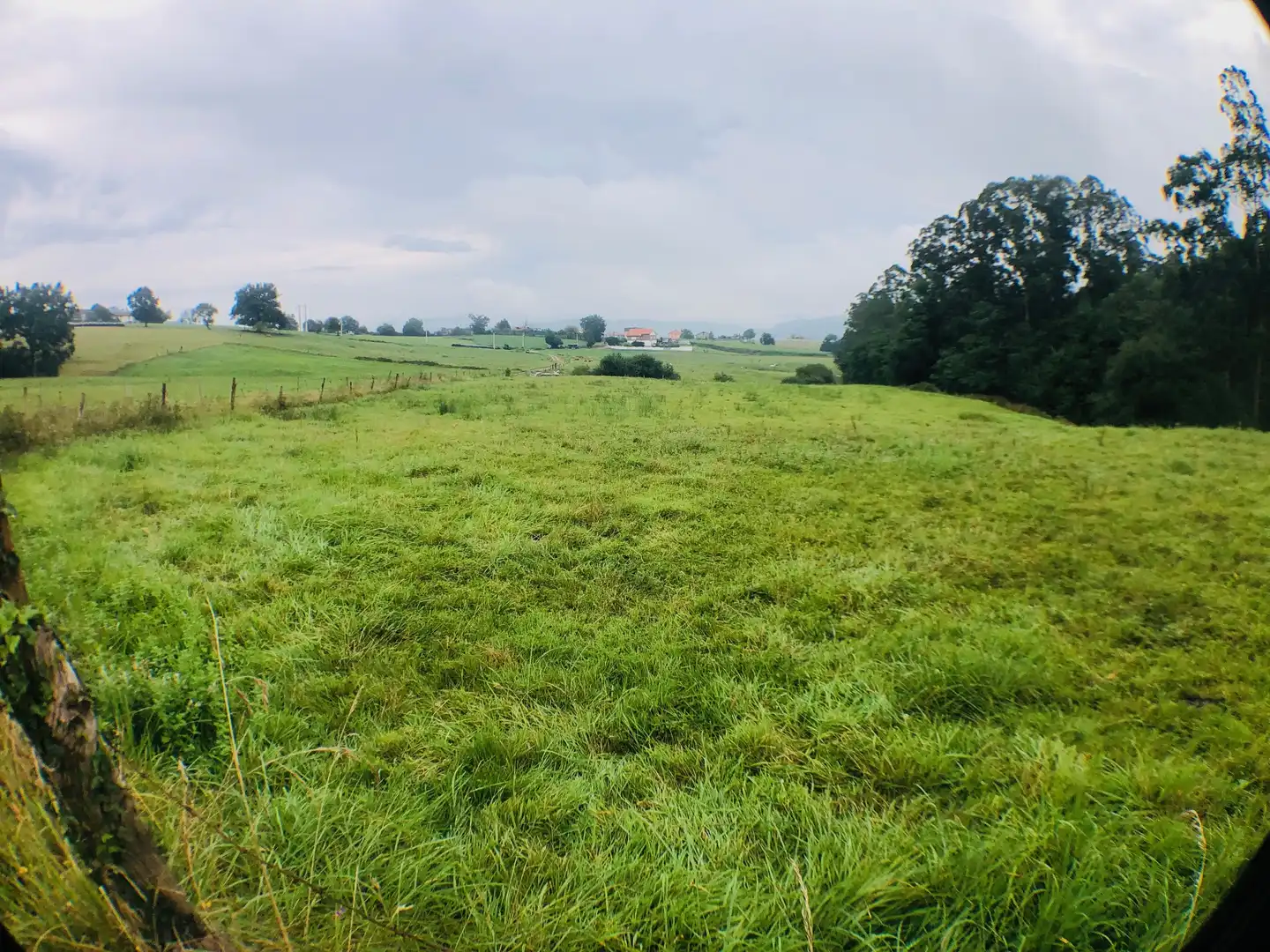 Grundstücke zum Verkauf in Piélagos