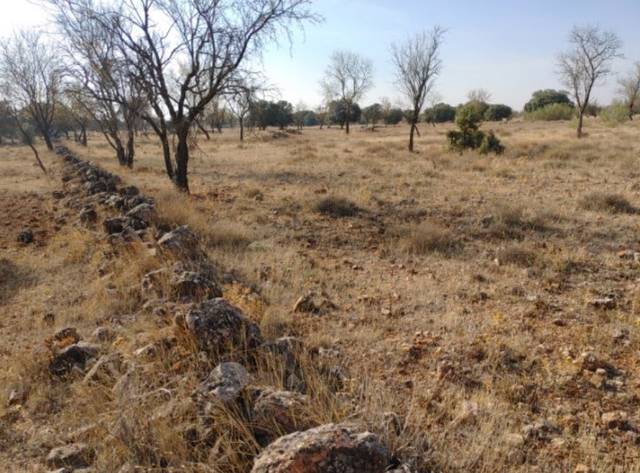 Terreno en Venta en LAS VIÑAS en Villanueva de la Fuente
