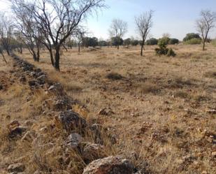 Land for sale in Villanueva de la Fuente