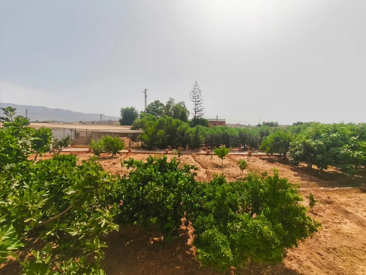 Villa mit Pool zum Verkauf in Piedras Redondas - Torrecárdenas, imagen 16
