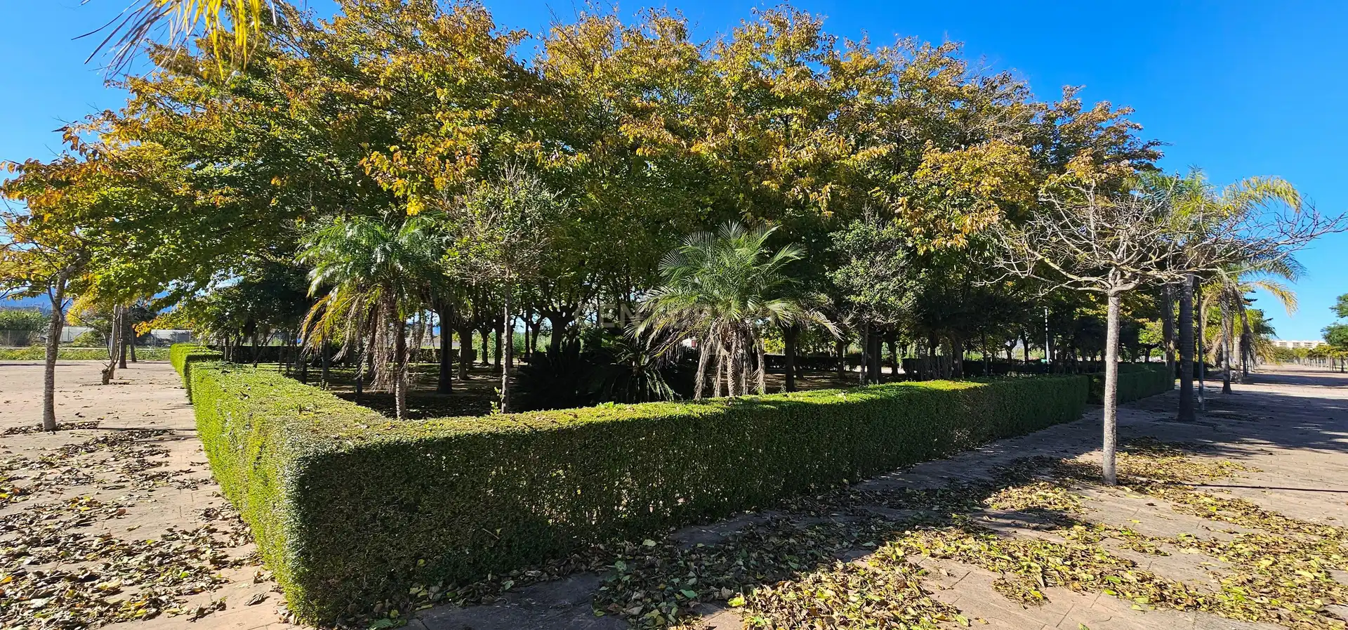 Residencial en venda a Carrer Mestral, 4, Piles, Spain, 4, Piles