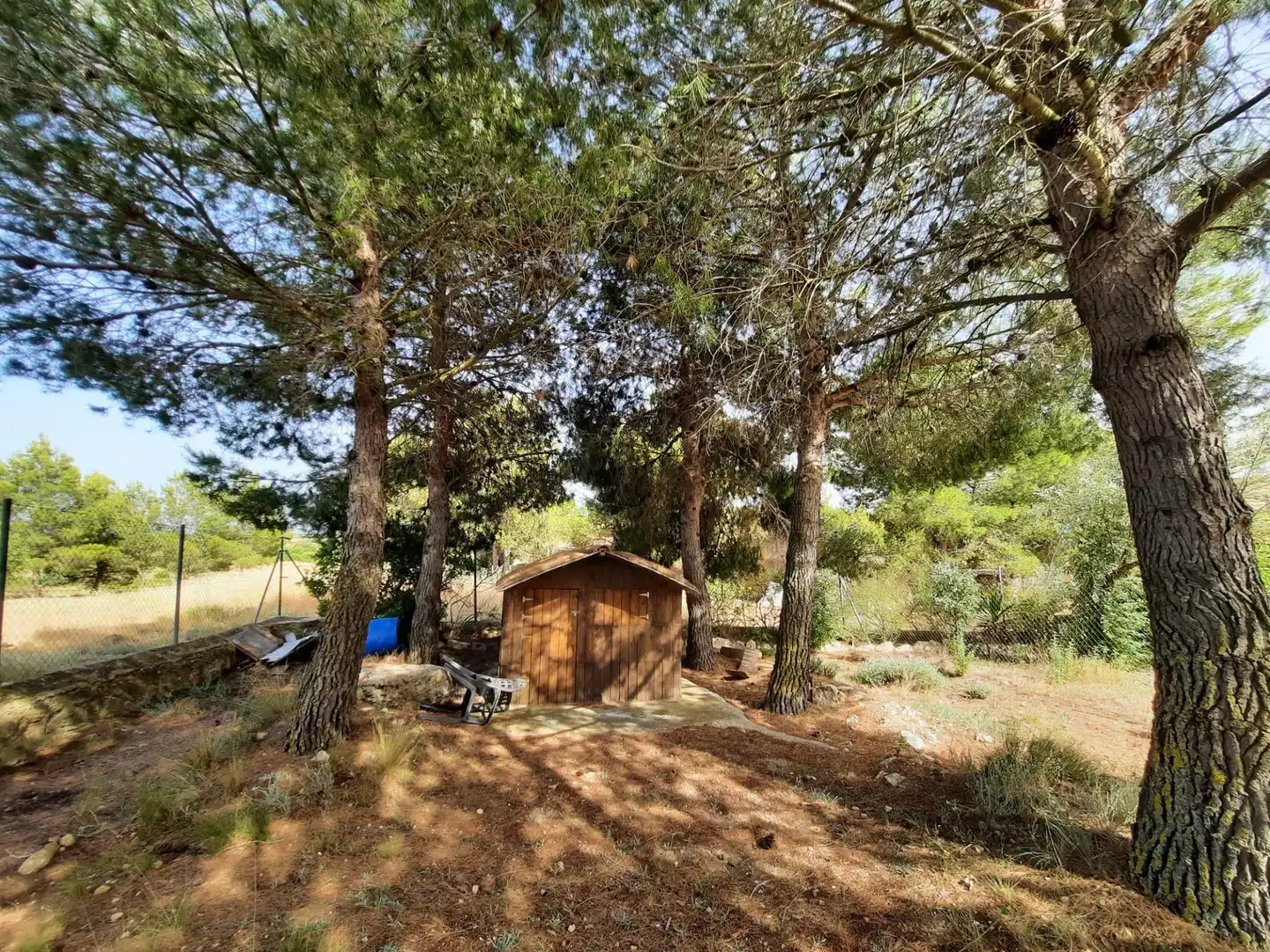 Casa o chalet en venta en Alpera con Amueblado