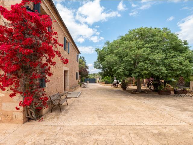 Finca rústica en Venta en S'Aranjassa
