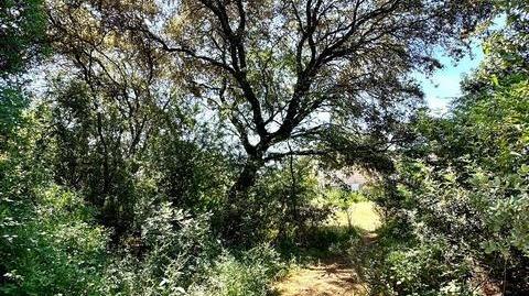 Foto 3 de Finca rústica en venda a Paraíso Arenal - La Colina,  Córdoba Capital