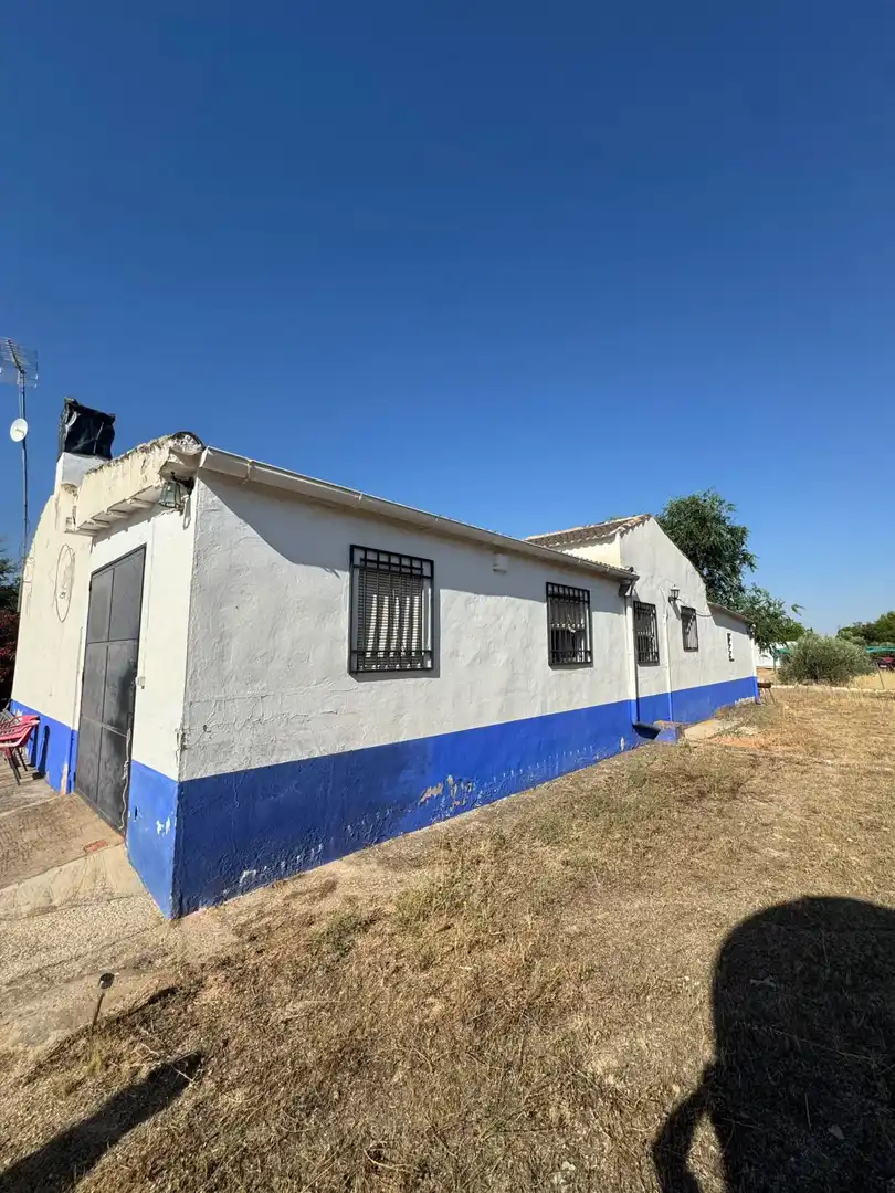 Casa rústica en venda a Valdepeñas, imagen 38