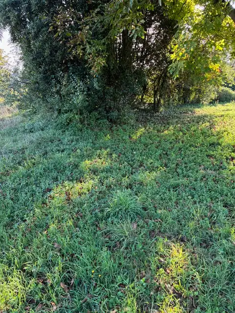 Residencial en venda en A Laracha  
