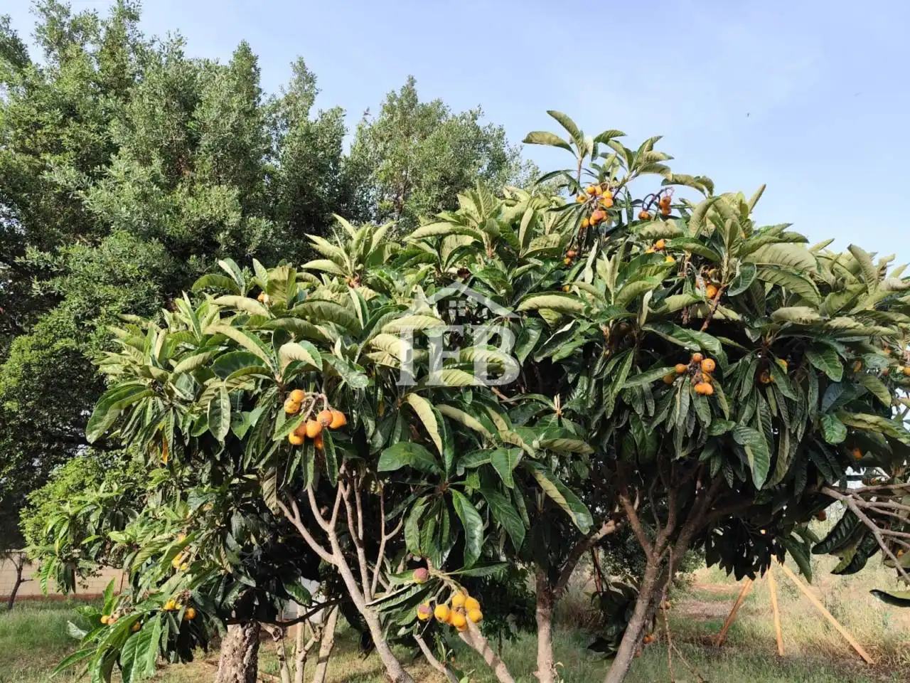 Jardín de Terreno en venta en Valverde de Leganés