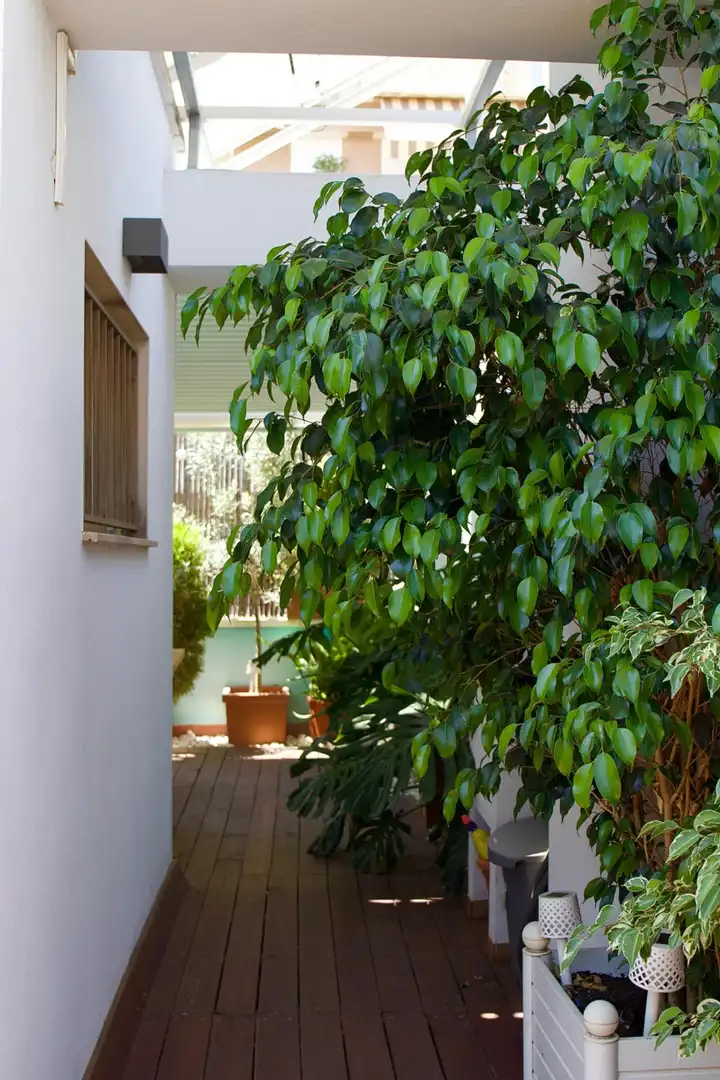 Reihenhaus mit Terrasse zum Verkauf in PROSPER DE BOFARULL 17, imagen 17