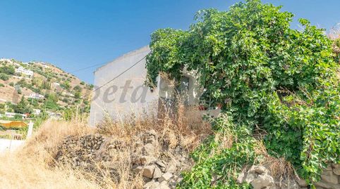 Foto 3 de Finca rústica en venda a Torrox Pueblo, Torrox