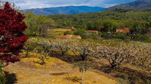 Photo 5 of Country house for sale in  Santiago, Jarandilla de la Vera, Cáceres