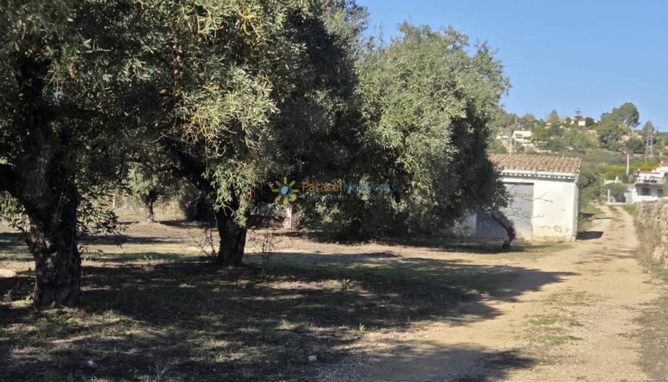Foto 1 de Finca rústica en venta en Benigànim, Valencia