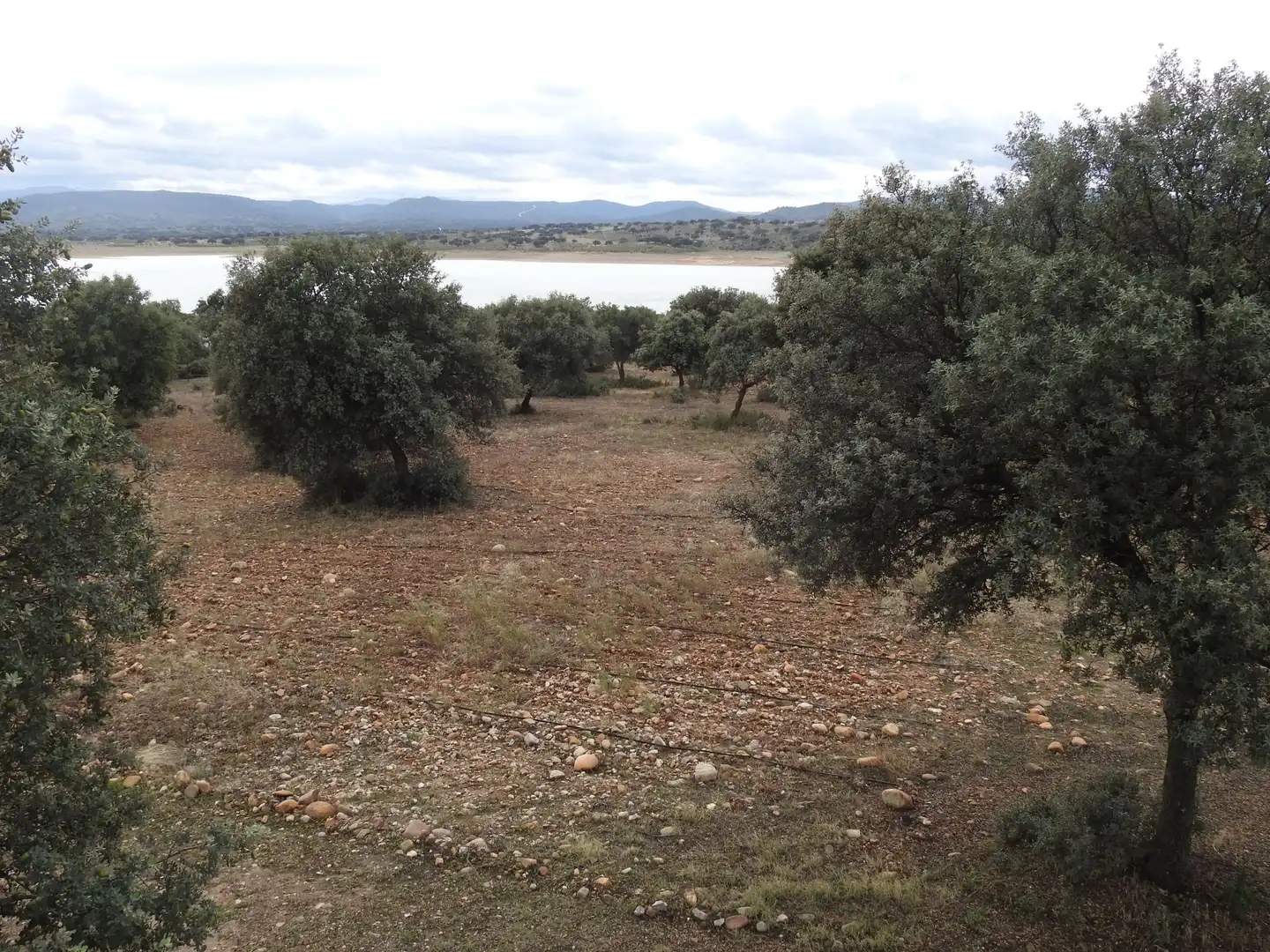Terreni e lotti in vendita a Peraleda de la Mata, imagen 23