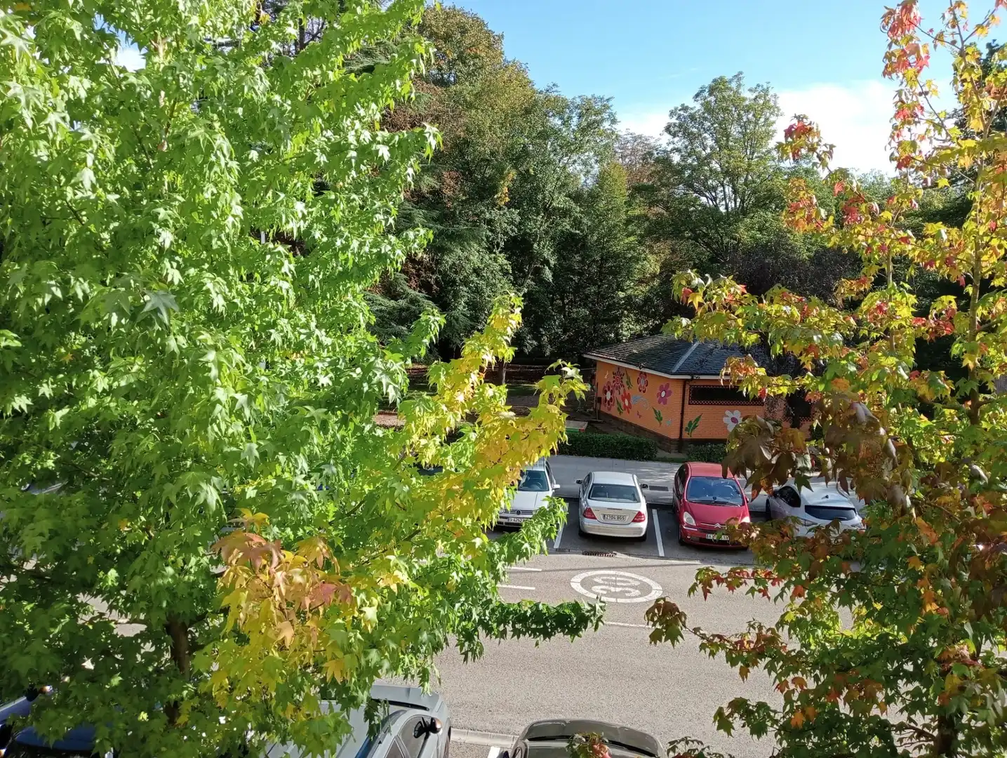 Appartement avec ascenseur à vendre à El Parque - Zapatón, imagen 2