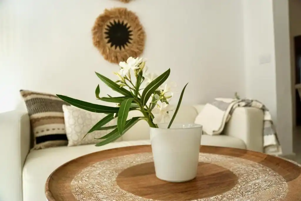 Apartament en venda a Centro, imagen 13