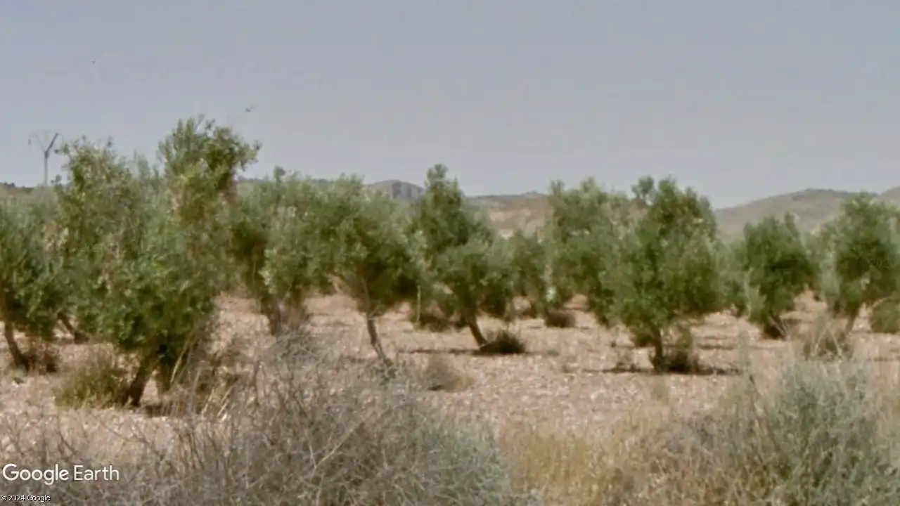 Rural land for sale in Partida los Cabezos 61, imagen 2