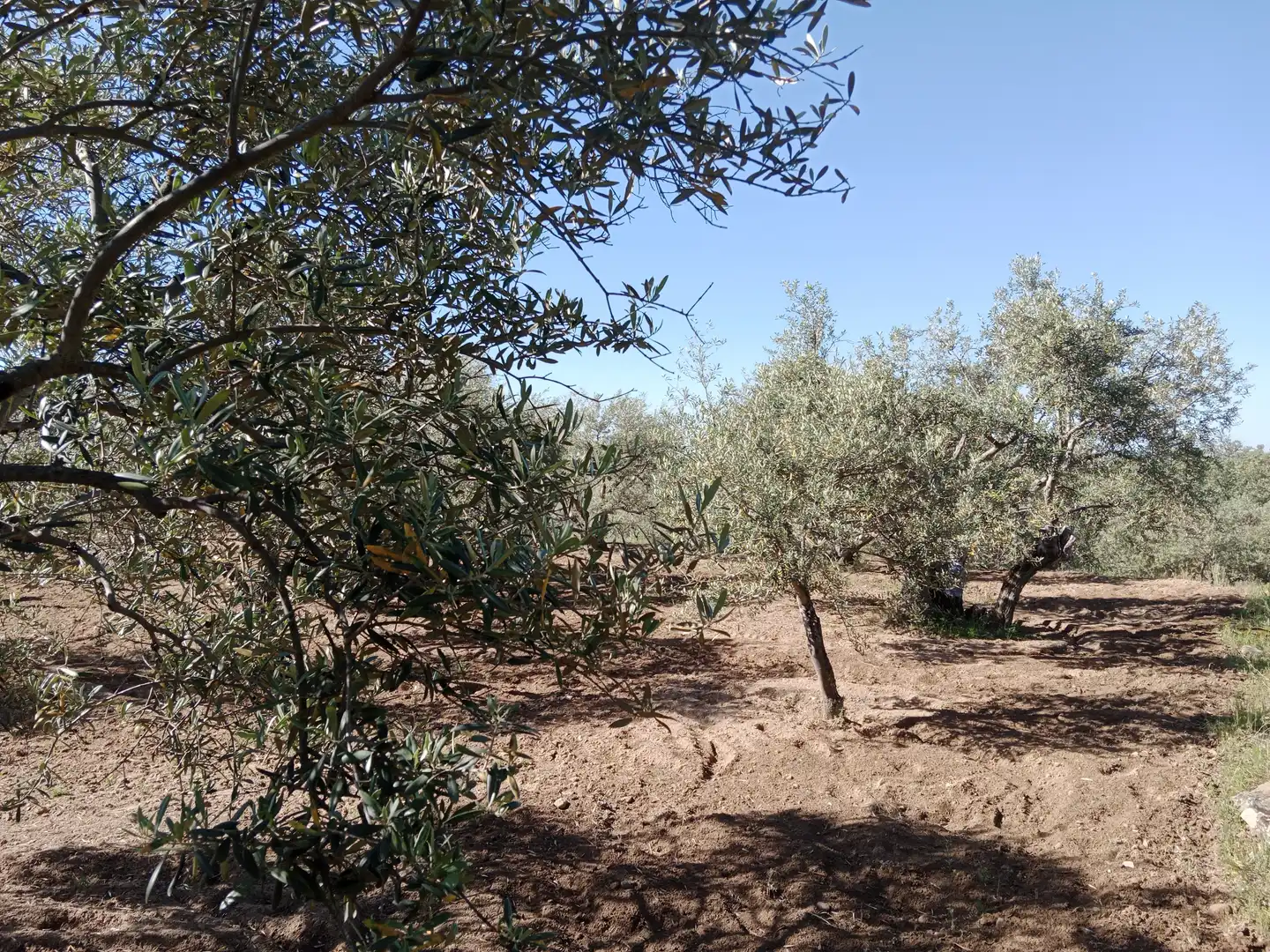 Terreni e lotti in vendita a N/A 0, imagen 36