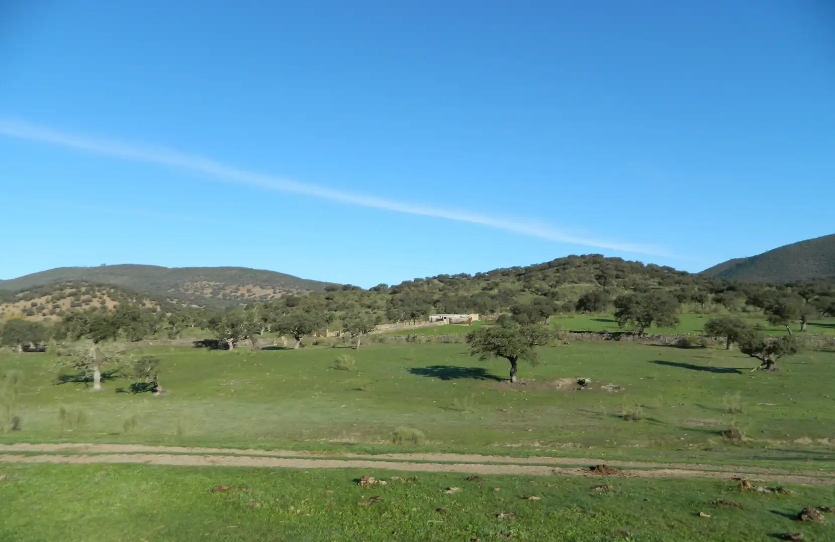 Rural land for sale in La Hispanidad - Verdeluz, imagen 33