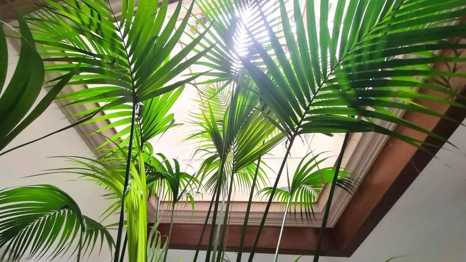 Vista exterior de Planta baja en venta en Cádiz