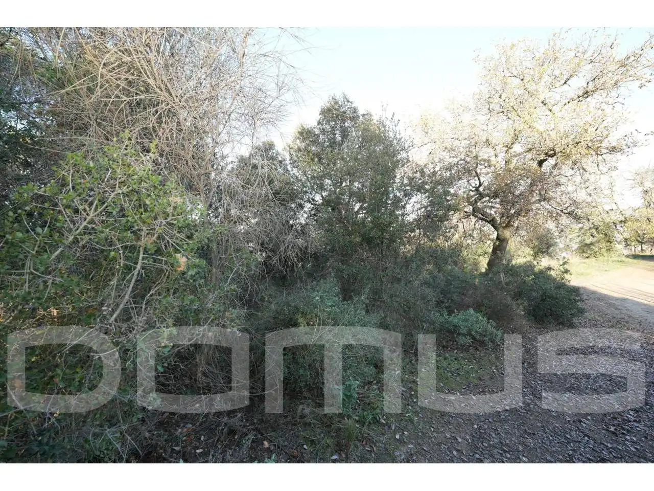 Terreno rústico en venta en Sant Vicenç Dels Horts, imagen 13