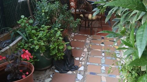 Foto 5 de Piso en venta en Ullà, Girona