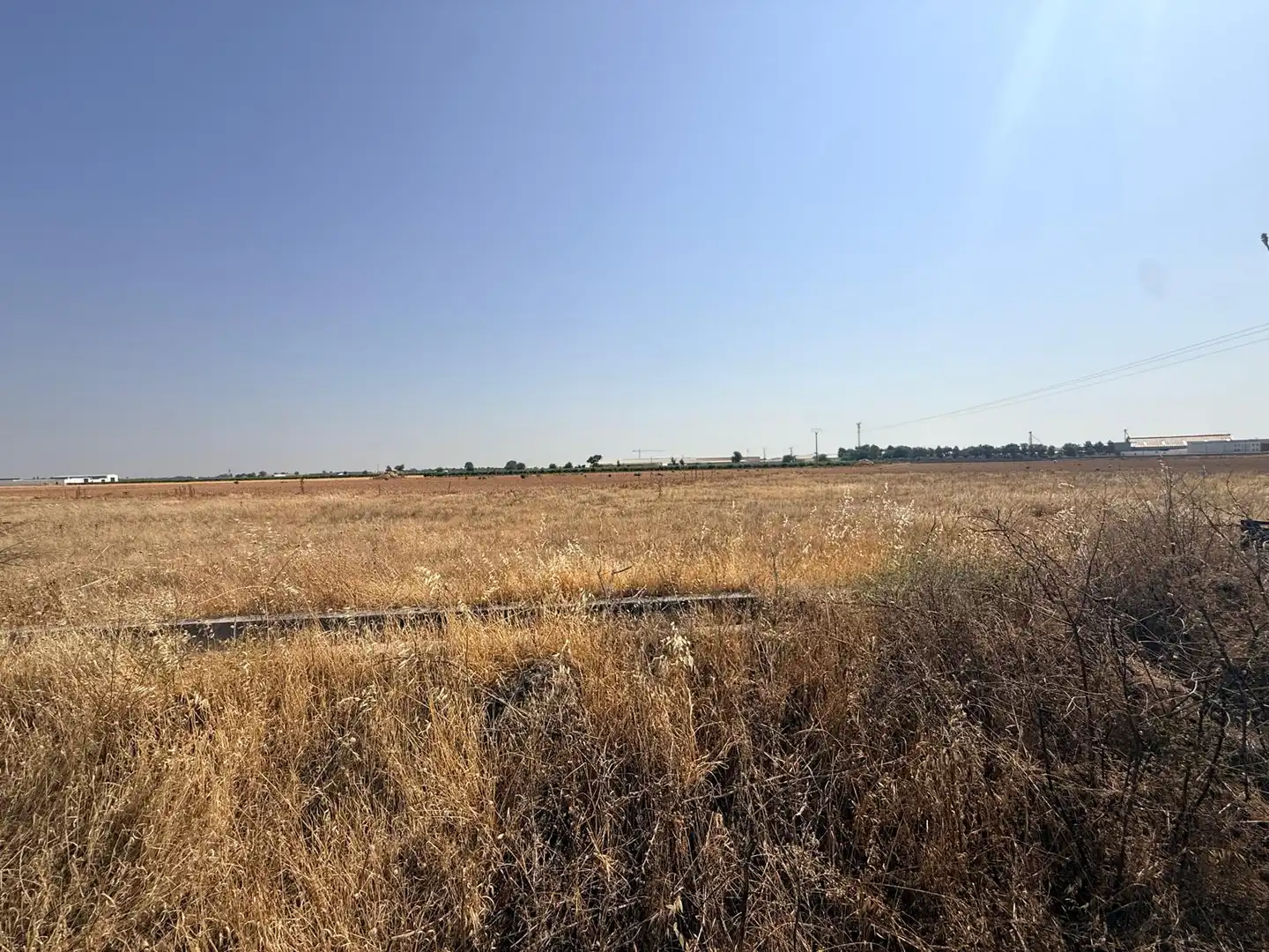 Terreno rústico en venta en Carretera Alcázar, imagen 6