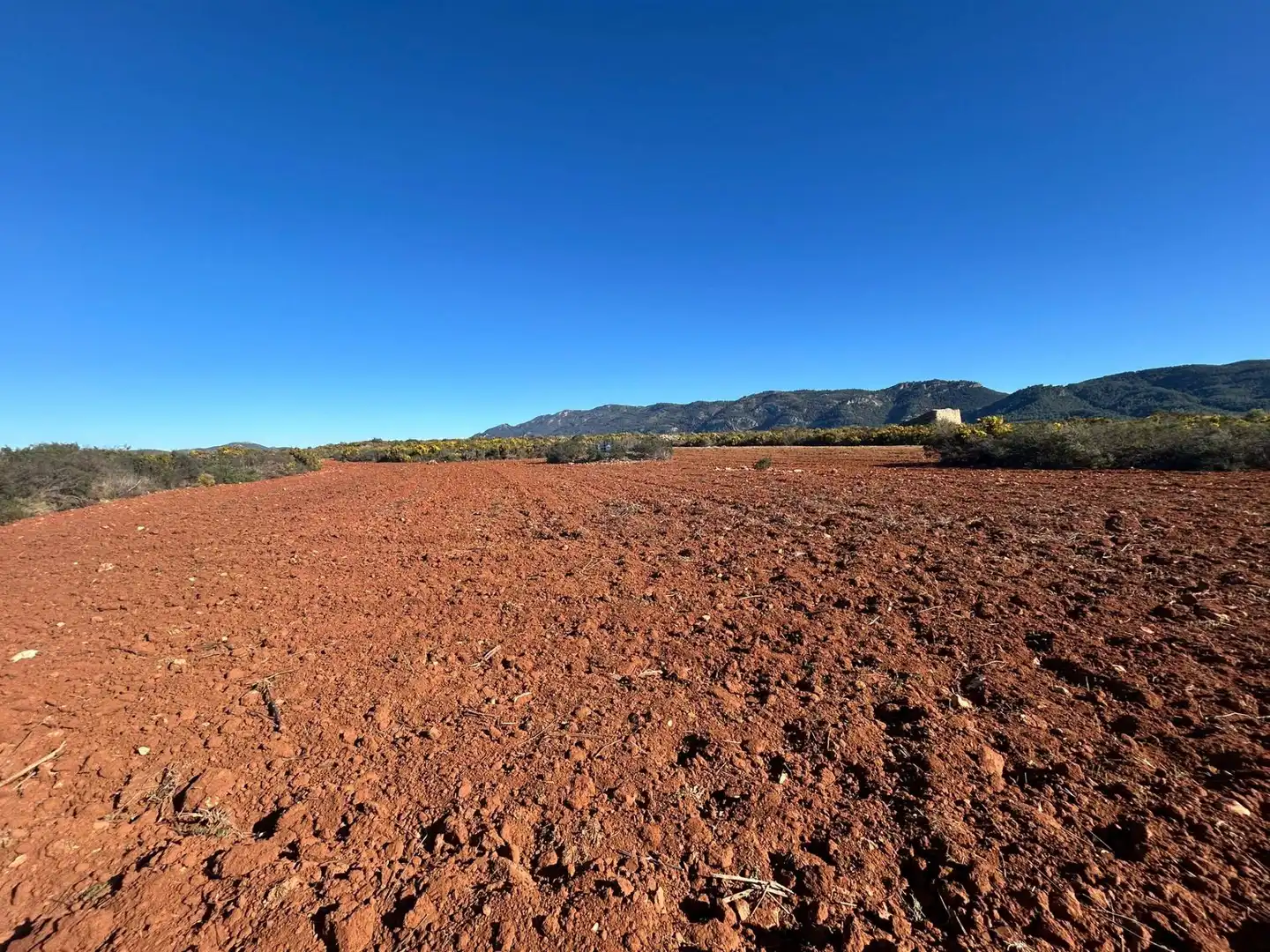 Finca rústica en venta en partida Pla de la Viña, Alfafara
