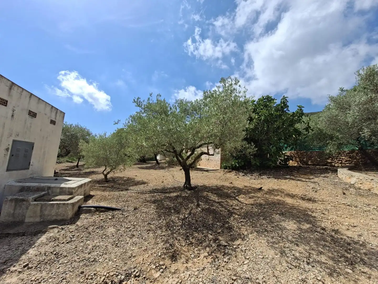 Terreno rustico in vendita a Partida del Mas d'en Civill, imagen 40
