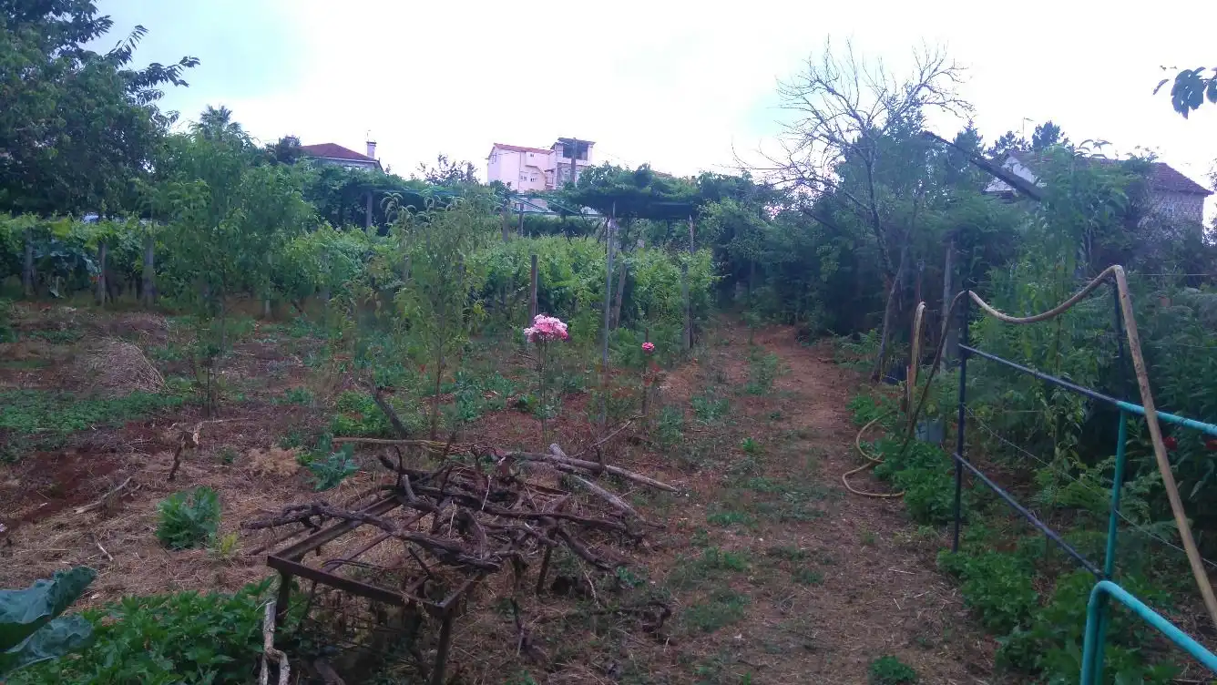 Residential land for sale in O Carballiño, imagen 3