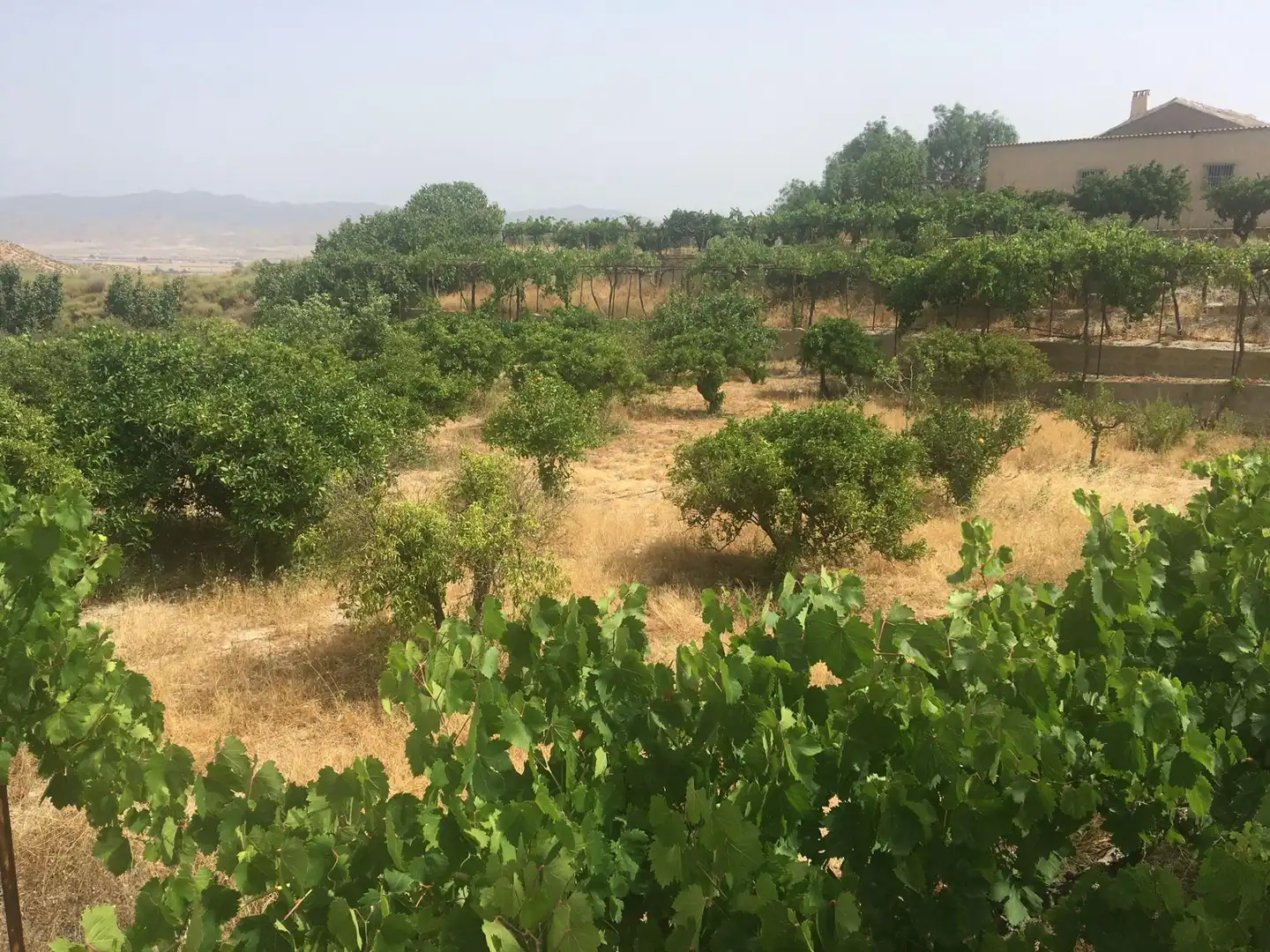 Country house zum Verkauf in Lorca mit Privatgarten und Schwimmbad